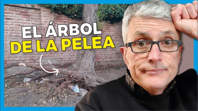 a que distancia se puede plantar un arbol del vecino