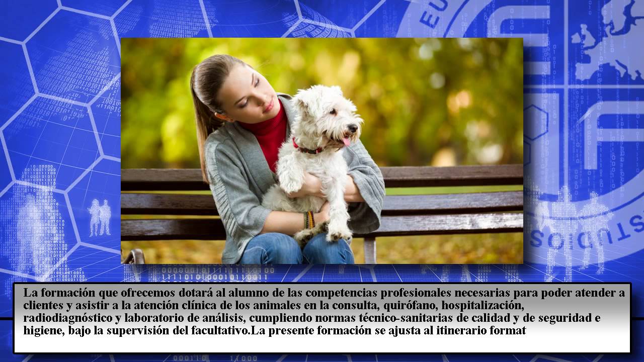 aga488_3 asistencia a la atención clínica en centros veterinarios