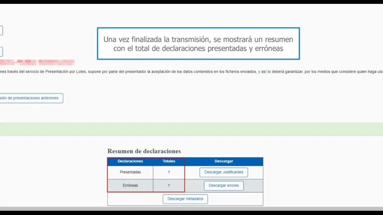 agencia tributaria modelo de representacion para la declaracion