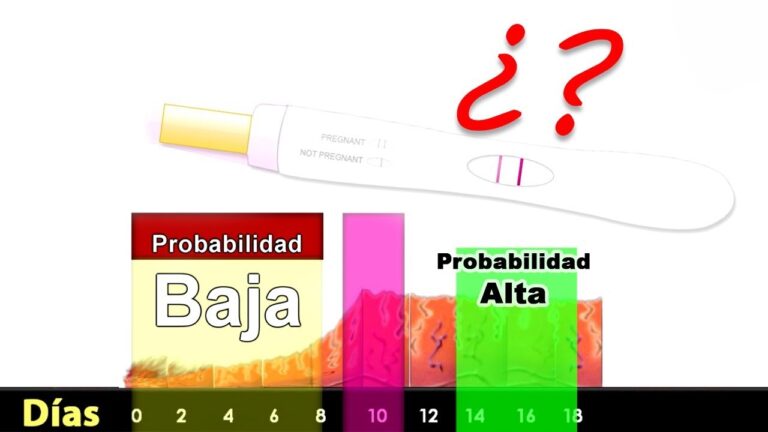 al segundo dia de terminar mi periodo puedo quedar embarazada