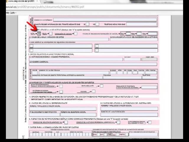 alta en régimen de autónomos plazo para su realizacion