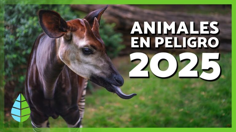 animales en peligro de extincion de la rioja