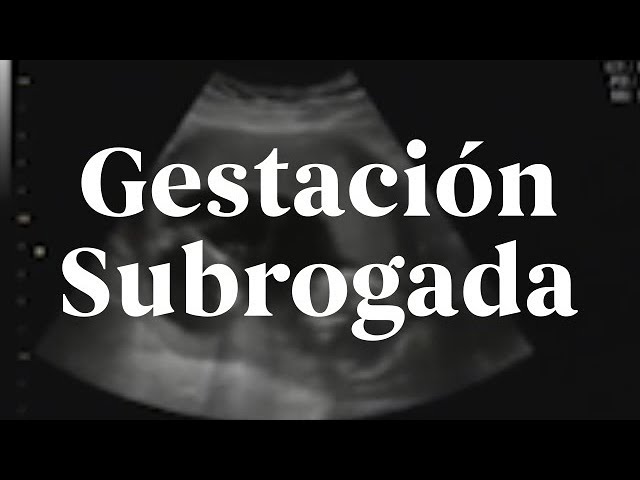 argumentos juridicos a favor de la gestacion subrogada