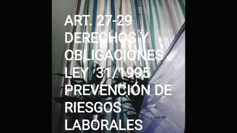 art 29 ley de prevencion de riesgos laborales