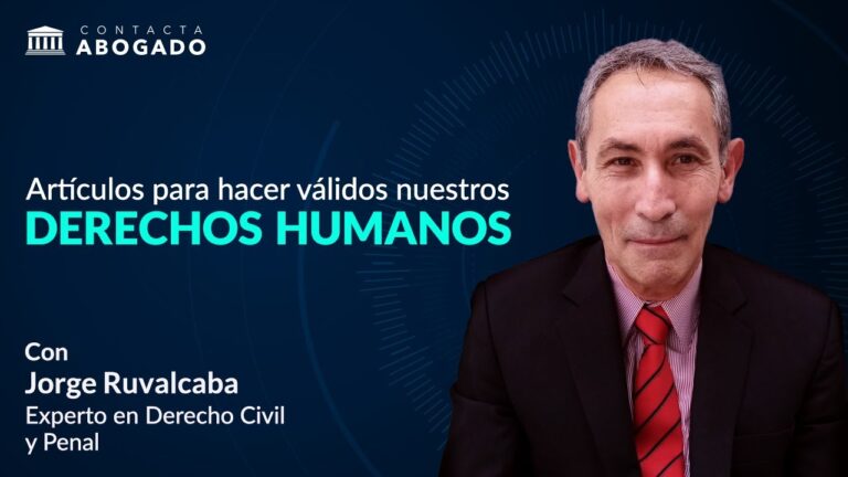 articulos que hacen referencia a los derechos humanos