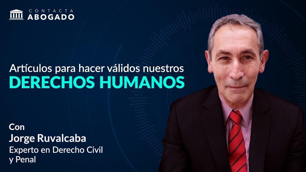 articulos que hacen referencia a los derechos humanos