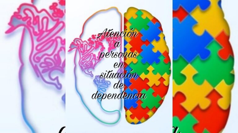 atencion a personas en situacion de dependencia grado medio asignaturas