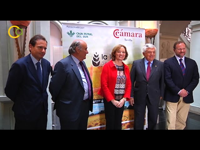 camara de comercio de cordoba lonja de cereales