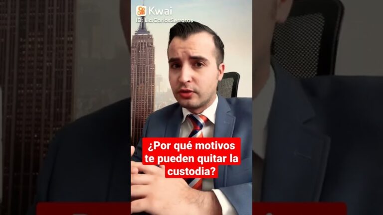 casos en que la madre pierde la custodia