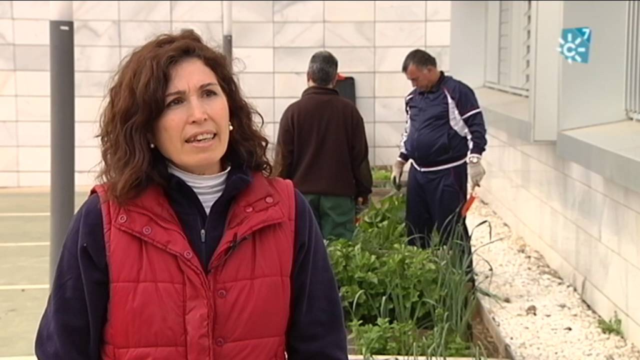 centro de atencion a la salud mental albacete
