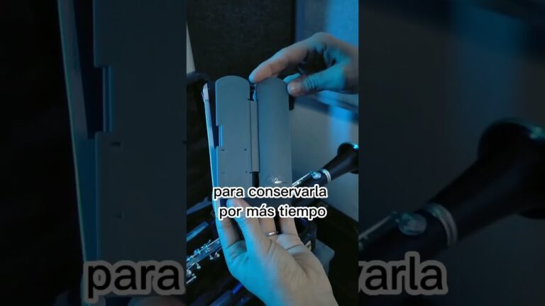 clarinete doble egipcio hecho con dos tubos caña