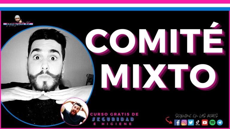 comité mixto de seguridad y salud en el trabajo