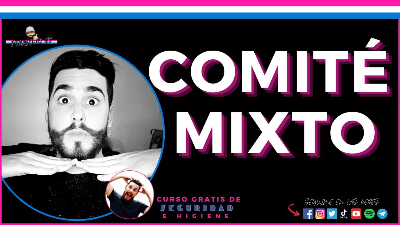 comité mixto de seguridad y salud en el trabajo