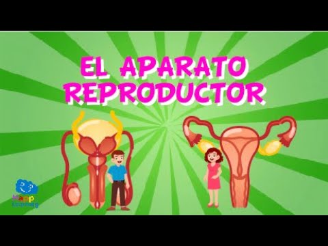 como explicar la reproduccion humana a los niños