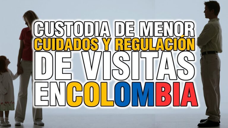 como pedir la custodia compartida de un hijo