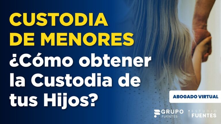 como pedir la custodia de un hijo en peru