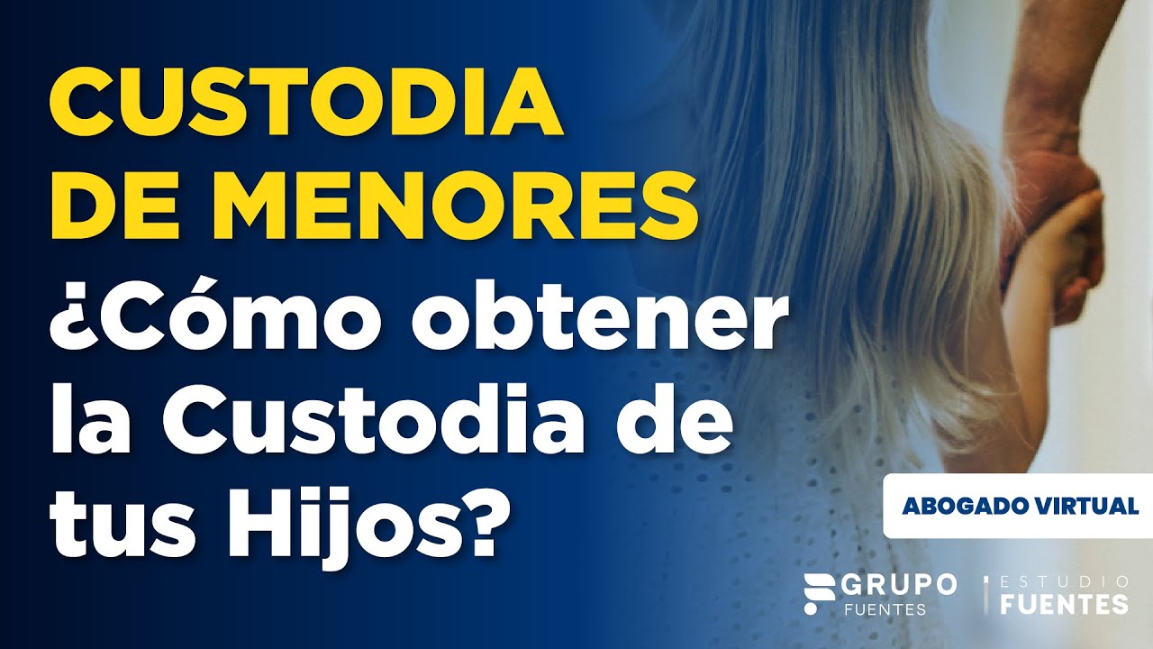 como pedir la custodia de un hijo en peru