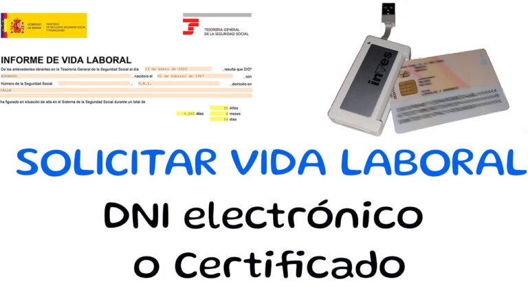 como puedo ver mi vida laboral con el dni electronico