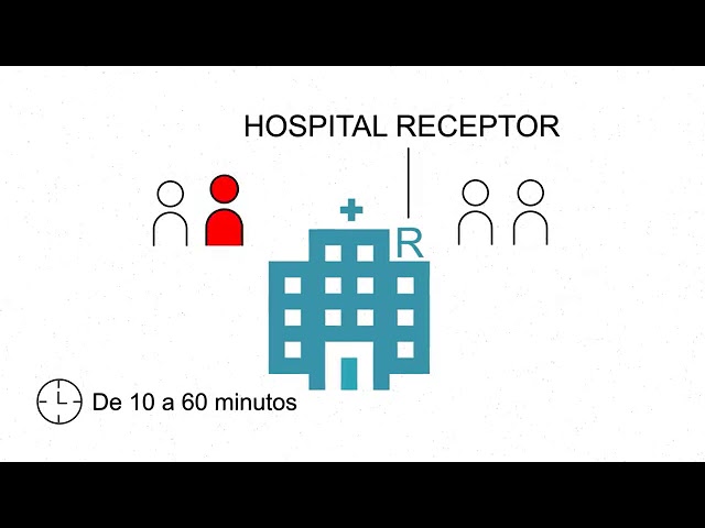 como se coordina una operacion de trasplante de un organo