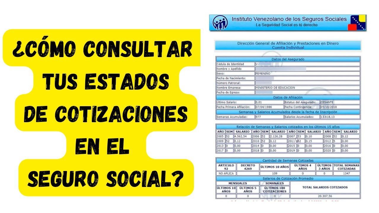 como veo mis cotizaciones en el seguro social