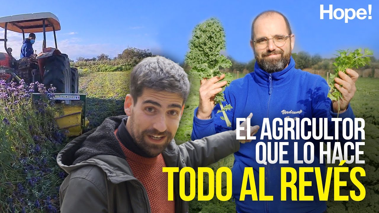 conjunto de parcelas que cultiva un mismo agricultor