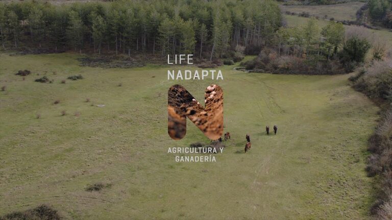 conselleria de agricultura medio ambiente cambio climático y desarrollo rural