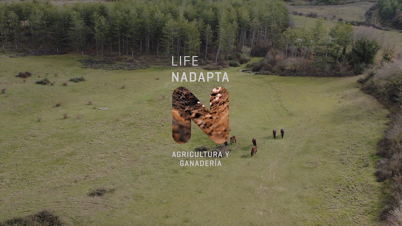 conselleria de agricultura medio ambiente cambio climático y desarrollo rural