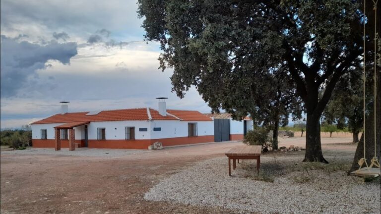 cotos intensivos de caza en castilla la mancha