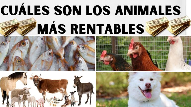 cria de animales para su explotacion y comercio
