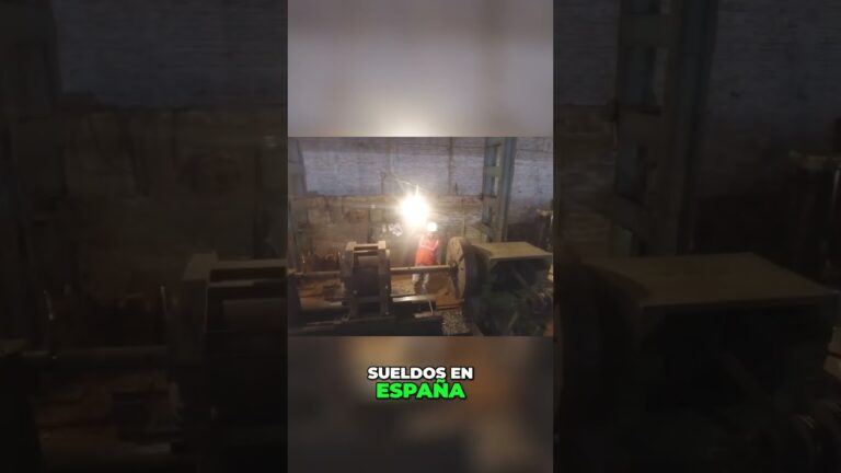 cuál es el salario mínimo interprofesional en españa