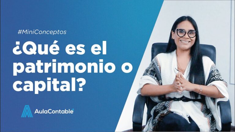 cual es la diferencia entre capital y patrimonio