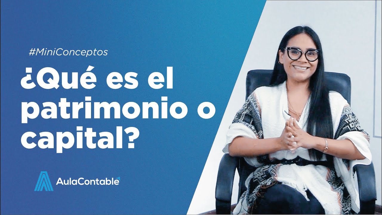 cual es la diferencia entre capital y patrimonio