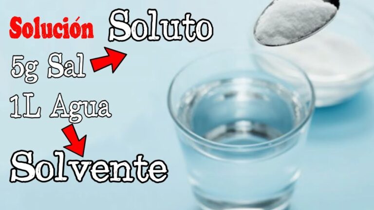 cual es la diferencia entre soluto y solvente