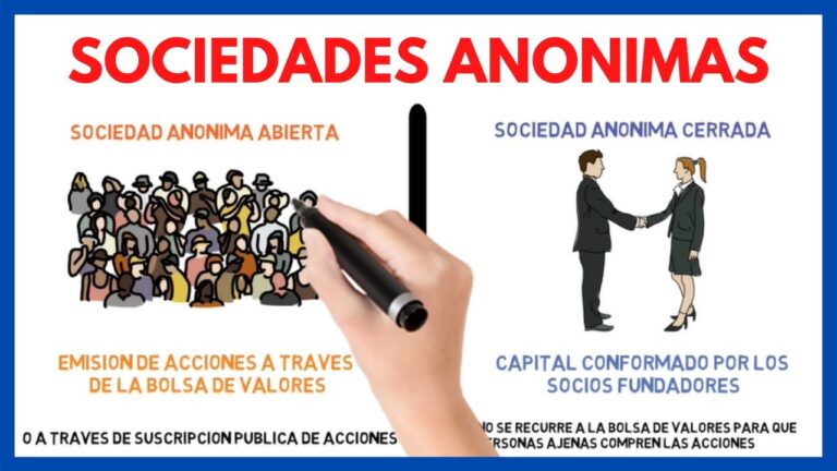 cuales son los organos de una sociedad anonima