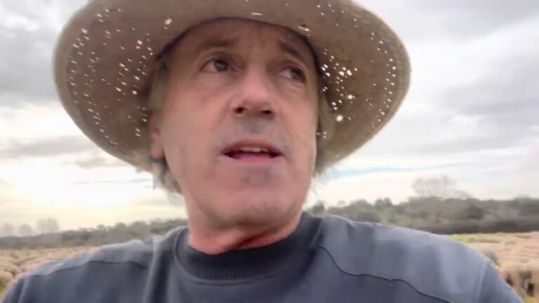 cuando veas las barbas de tu vecino cortar