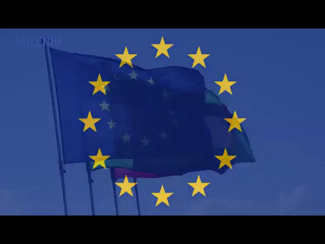 cuantas estrellas tiene la bandera de la union europea