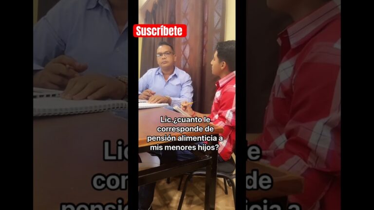 cuanto debo pagar de pension alimenticia por un hijo