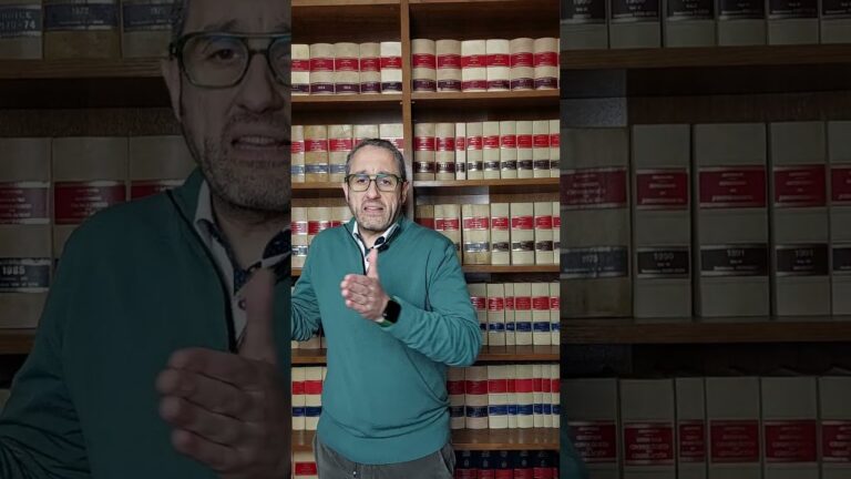 cuanto tarda el juzgado en ingresar un embargo