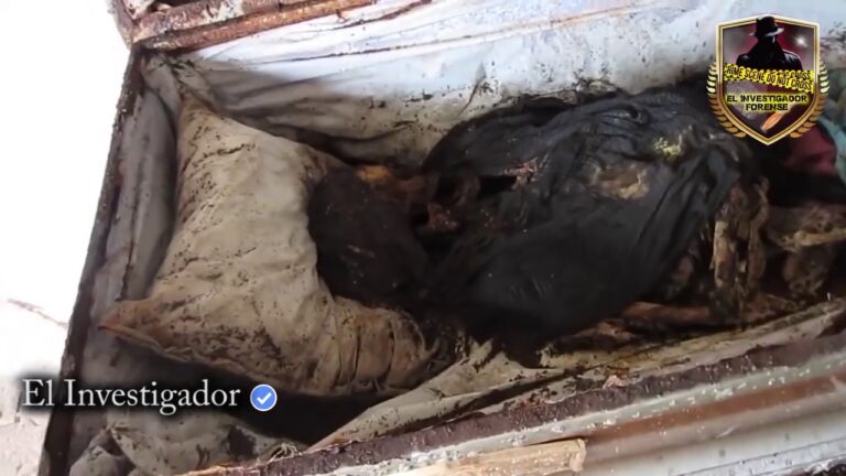 cuánto tiempo tiene que pasar para exhumar un cadáver