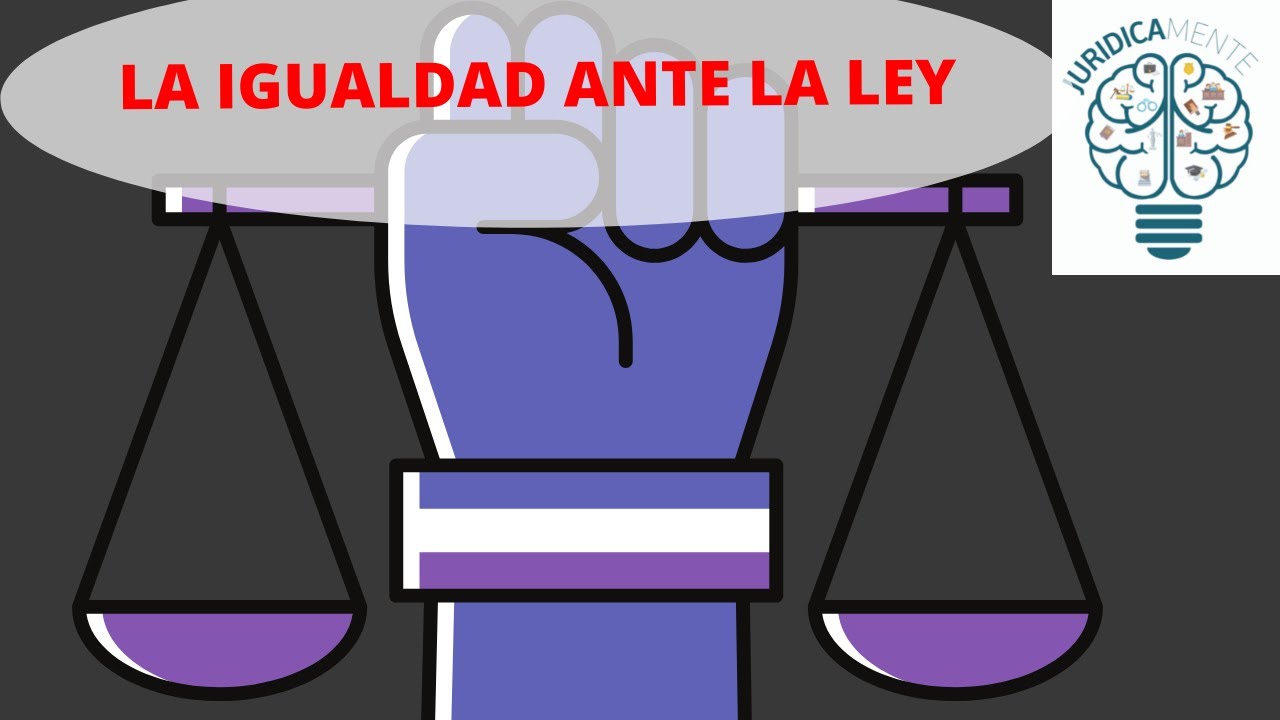 derecho a la igualdad ante la ley articulo