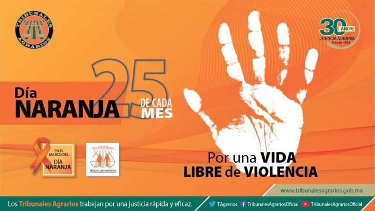 dia de la no violencia contra la mujer