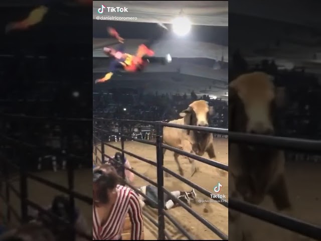 dícese del toro del mismo pelo que otro