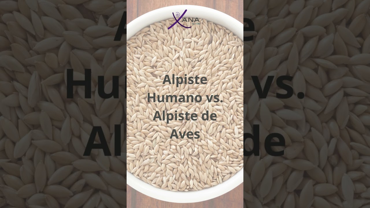 diferencia entre alpiste para consumo humano y animal