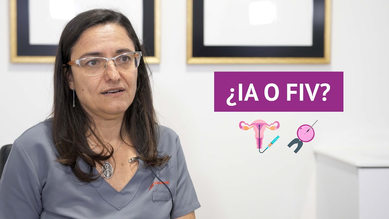 diferencia entre reproduccion asistida y fecundacion in vitro