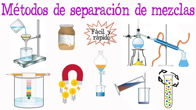 distincion y separacion de las partes de un todo