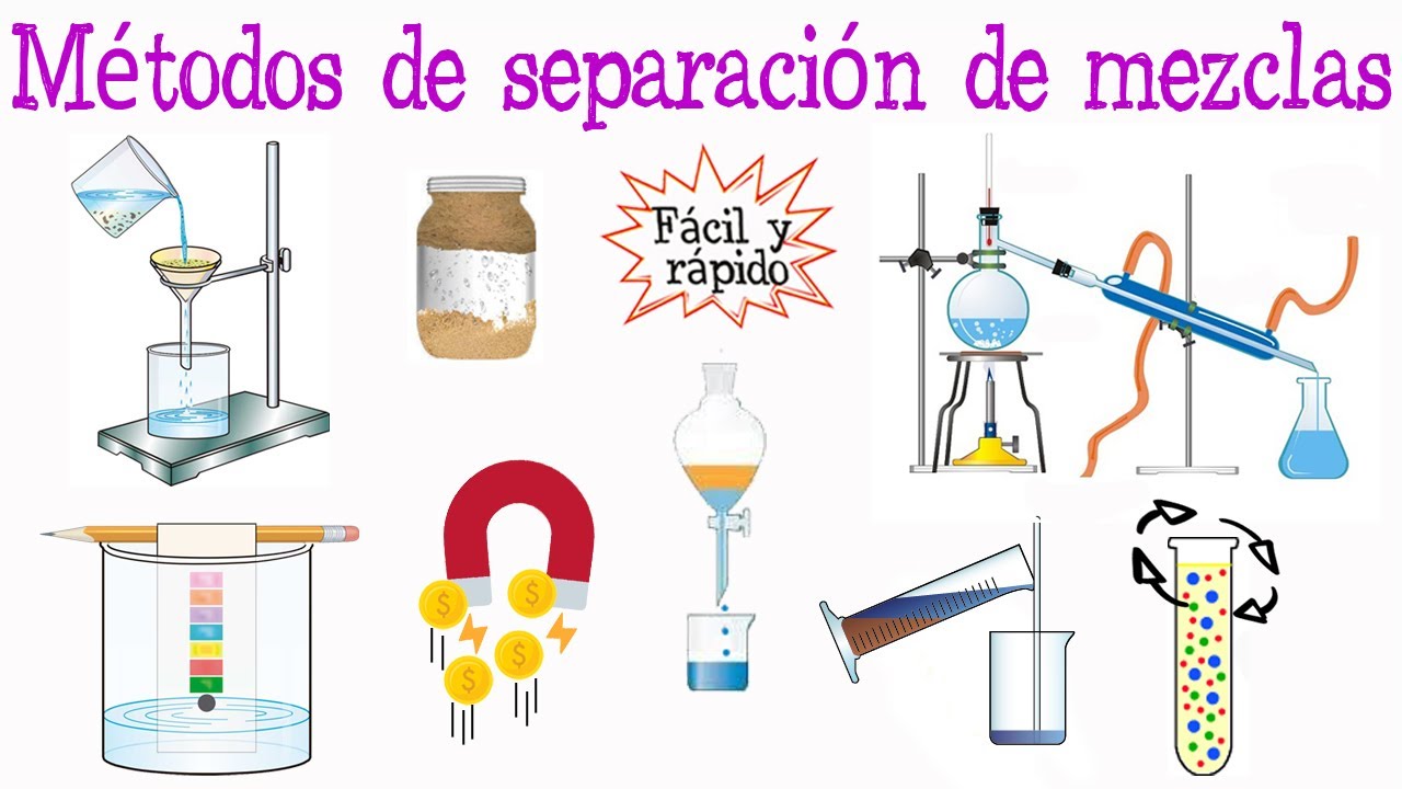 distincion y separacion de las partes de un todo