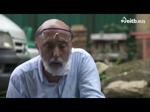 efectos de la cal viva en el cuerpo humano