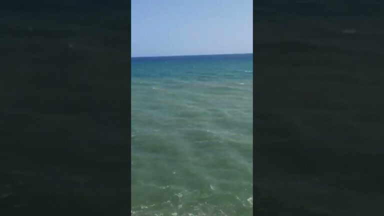 el fogon de luismi la cala del moral