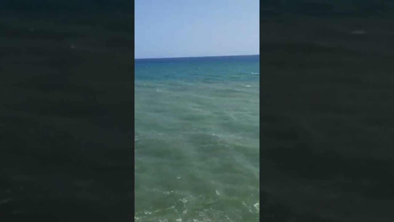 el fogon de luismi la cala del moral
