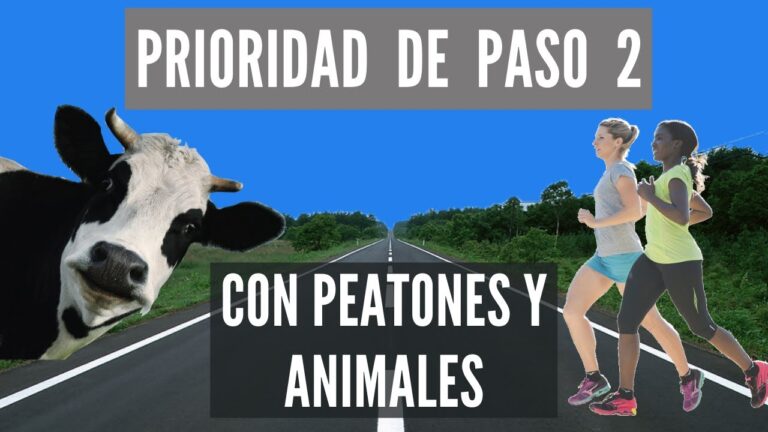 en esta situación tienen prioridad de paso los animales